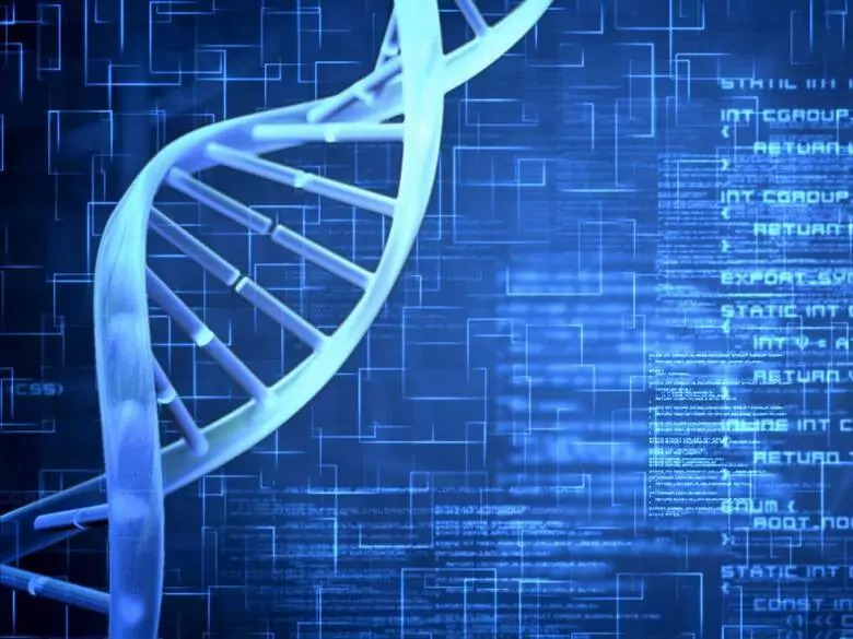 Influence of genes on the occurrence of diseases in children