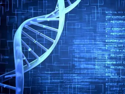 Division and characteristics of types of spinal muscular atrophy