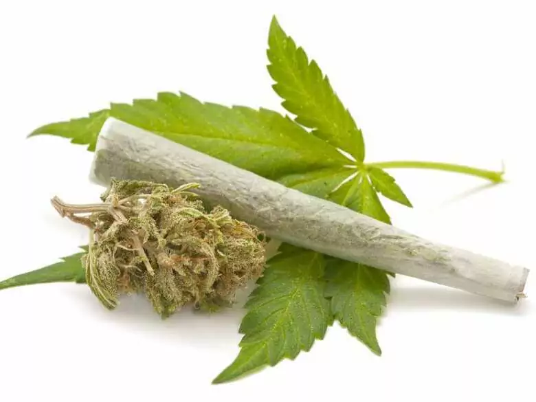 Czech government's fight against drug abuse. Up to one million Czechs take drugs and abuse drugs!