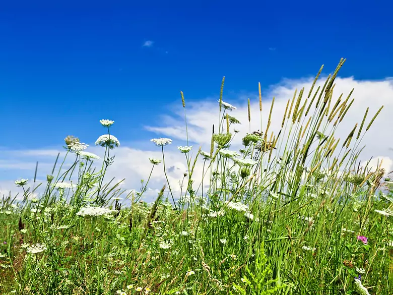 Paintball - a game where we can lose our sight?