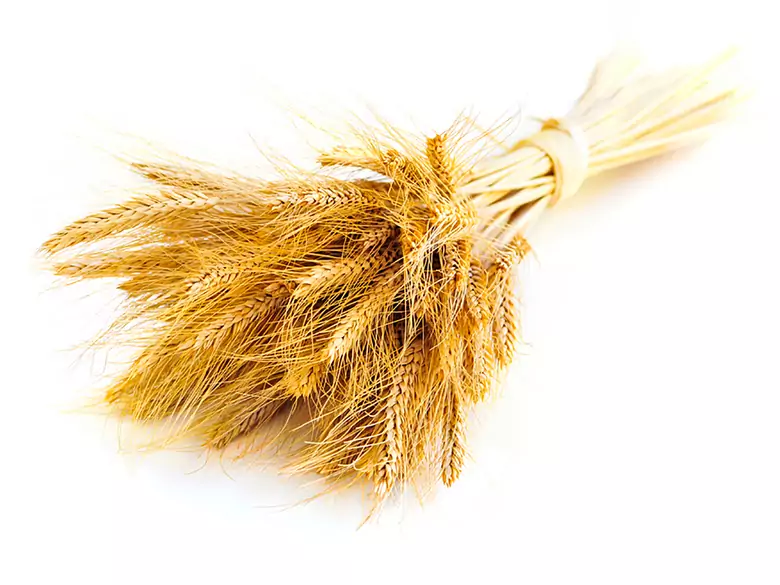 Food allergy - causes, symptoms, diagnosis, treatment, skin lesions