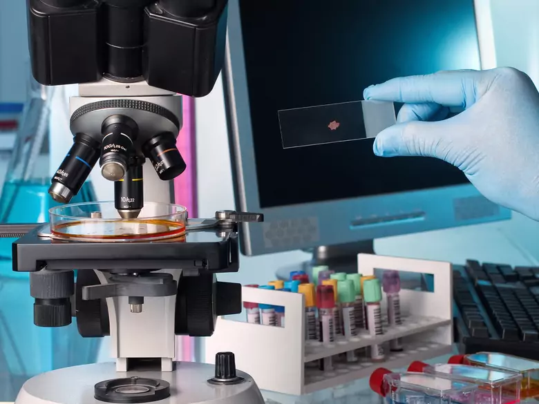 Chromosome testing methods