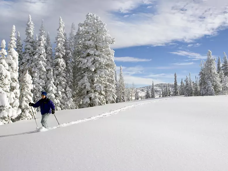 Let's take care of our health in winter and enjoy it at the same time