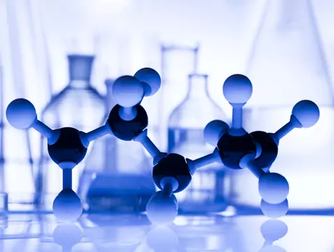 Bioelements, the elements of life - what role do they play in the body?