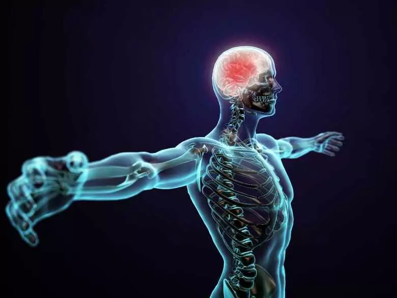 Autism spectrum disorders more common in people whose brain is anatomically male?