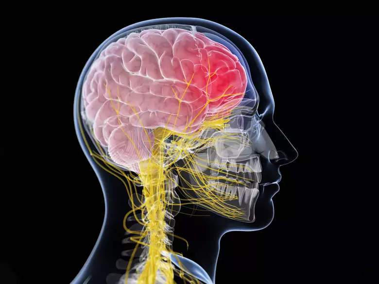 Neuroinfections and psychiatric problems