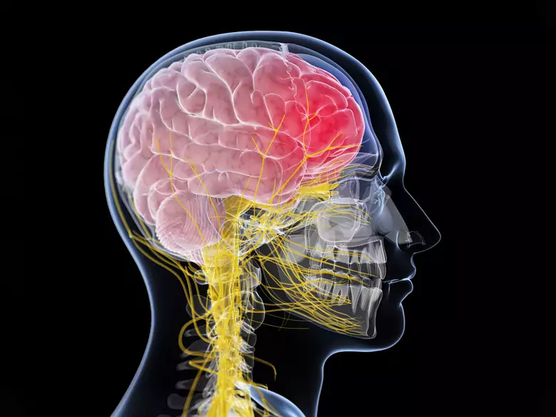 Brain abscess: what are its causes, symptoms and how to treat it?