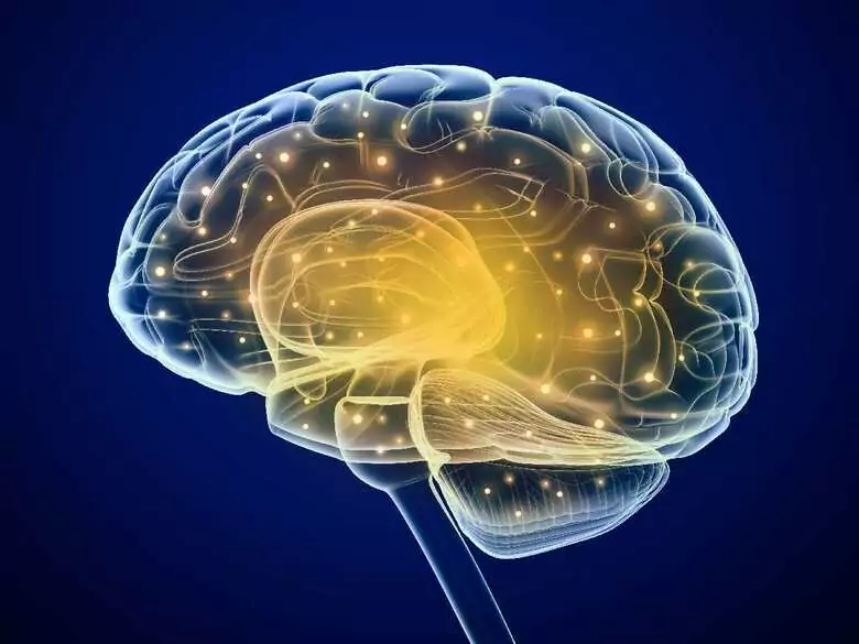 The role of working memory in affective disorders
