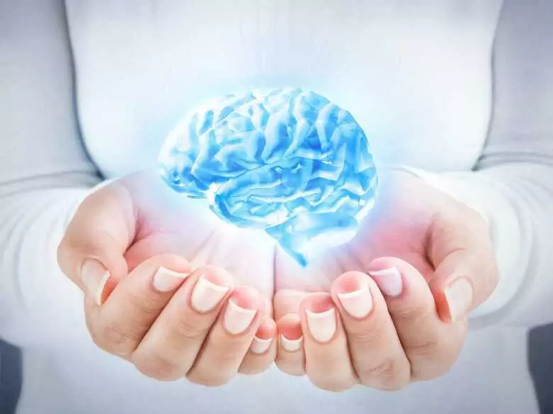White blood cells can accelerate neural tissue regeneration after stroke