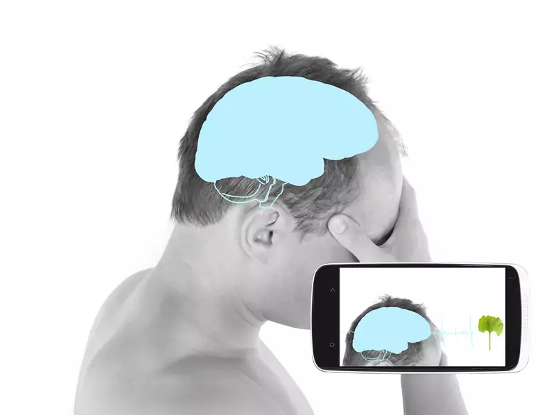 Dementia in late life - how to prevent it?