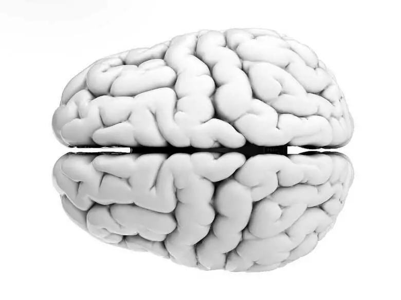Breakthrough in the diagnosis of brain aneurysm and epilepsy