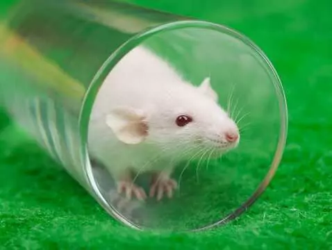 Parkinson's disease: can patients be helped by... estrogen supplementation?