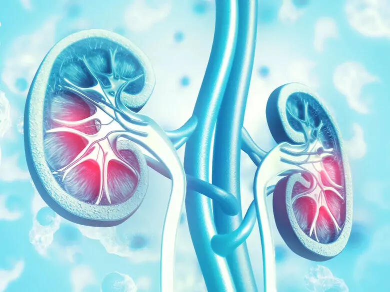 What is a healthy diet for people with kidney failure problems?