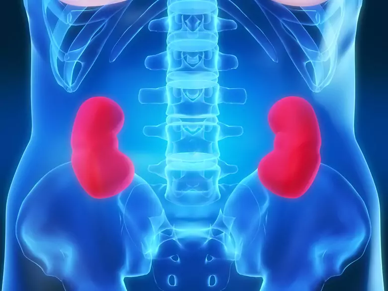 Kidney in heart failure