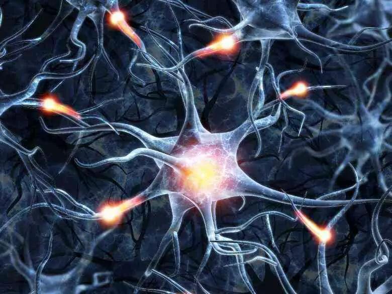 Can stem cells cure?