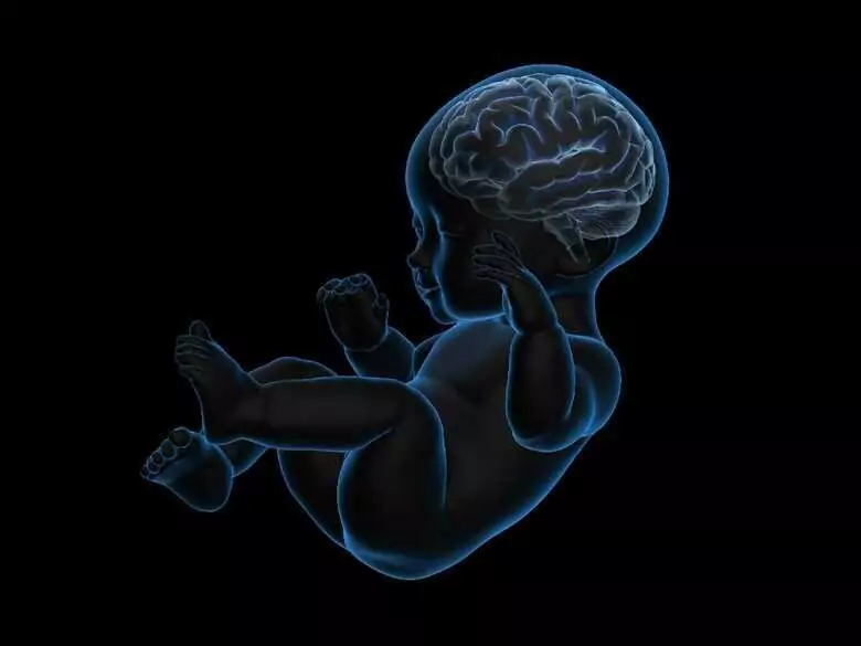 Neurodevelopmental disorders - what it means and what to look out for when observing a child's development