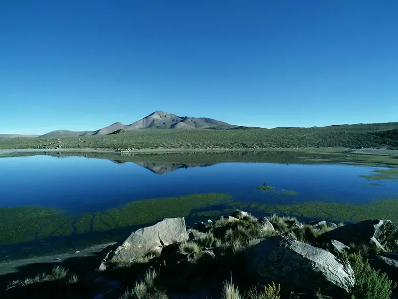 Acute Mountain Sickness - causes, symptoms, diagnosis, treatment 