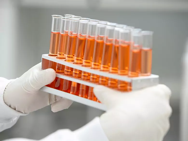 Polish specialists develop innovative fluid for organ transplantation