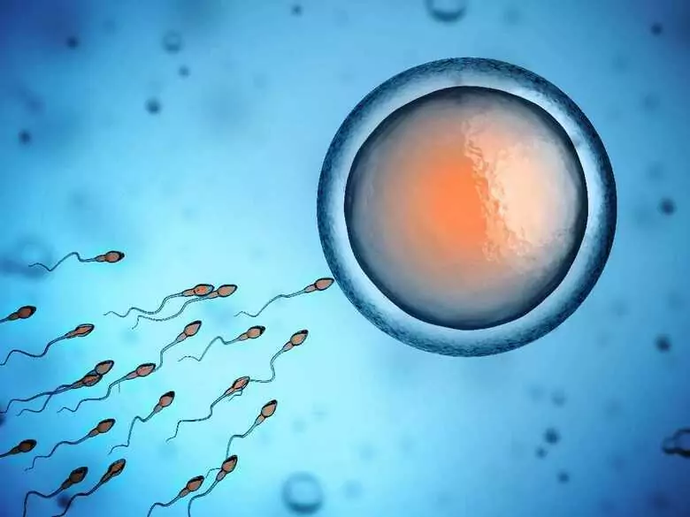 Vasectomy - what is it, what is the procedure like?