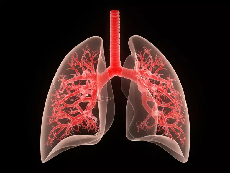 What are the symptoms of lung cancer?