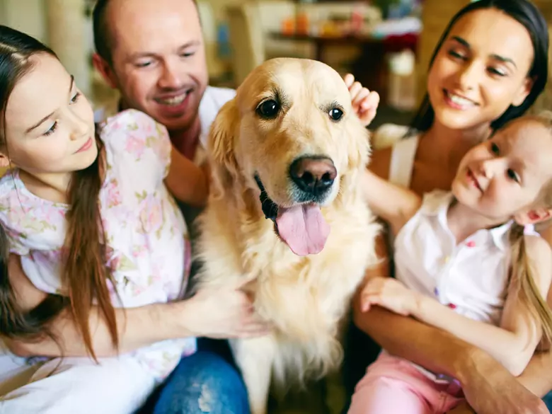 The role of animals in psychotherapy