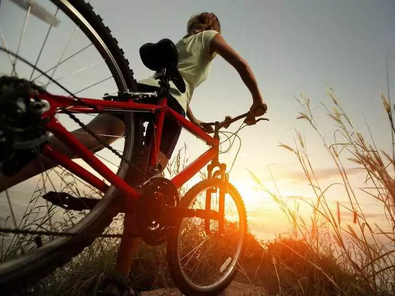 Lifestyle and cancer risk