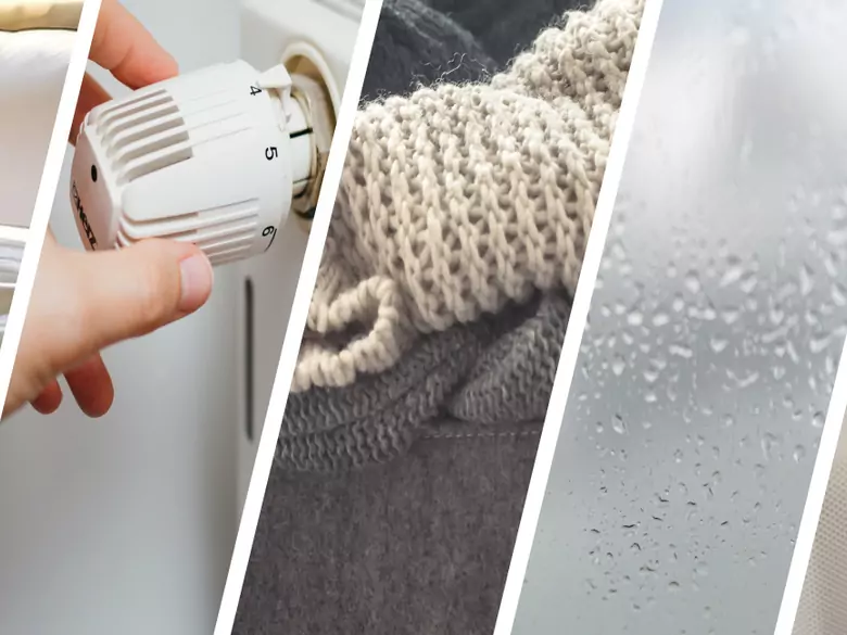 AleAlert: In winter, allergy sufferers should watch out for dust mites, dry air and mould