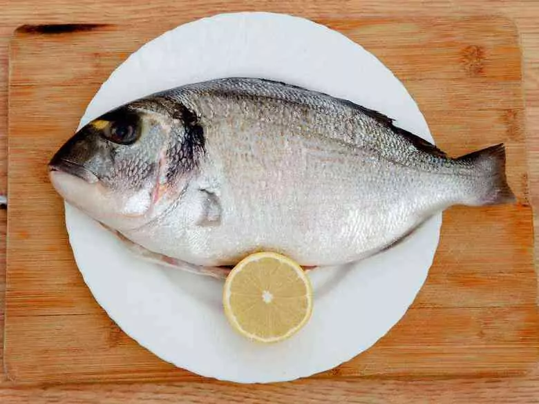 Parkinson's disease: the impact of a proper diet in controlling the condition