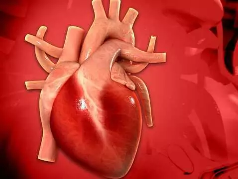 Bicuspid valve leaflet prolapse syndrome - causes, symptoms, diagnosis, treatment