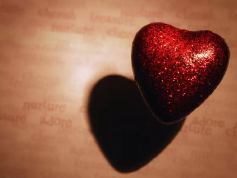 Structure of the human heart