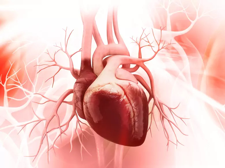 December holidays and deaths from cardiovascular causes - research from New Zealand