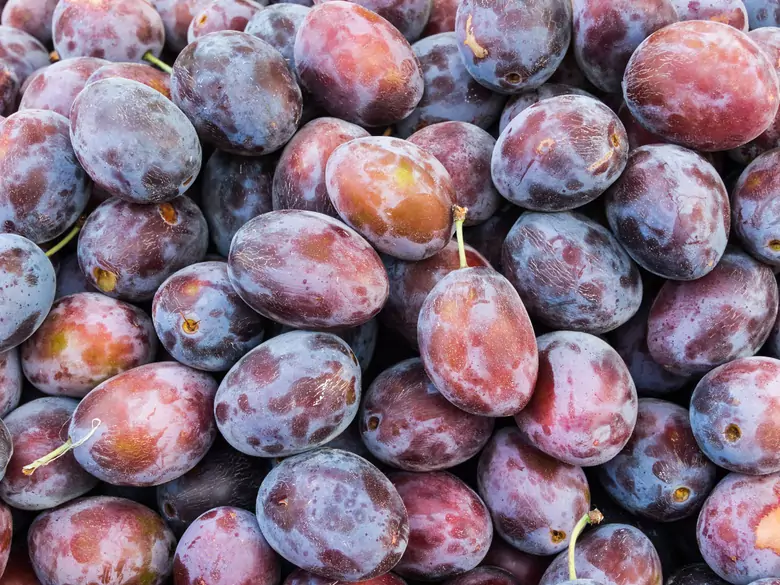 What are the benefits of eating prunes?