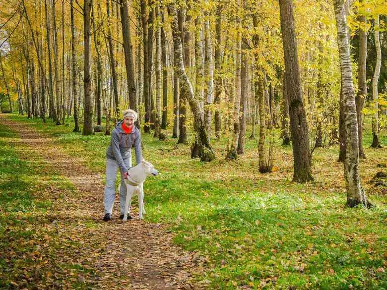 What is psychoterratica?