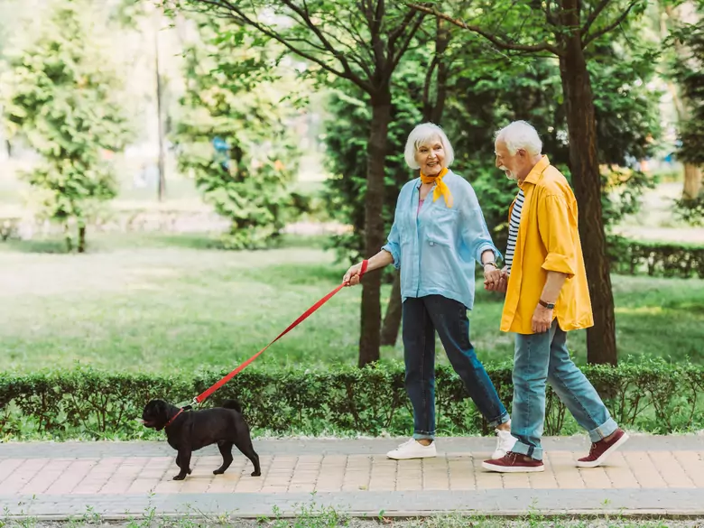 Does walking help to keep fit?