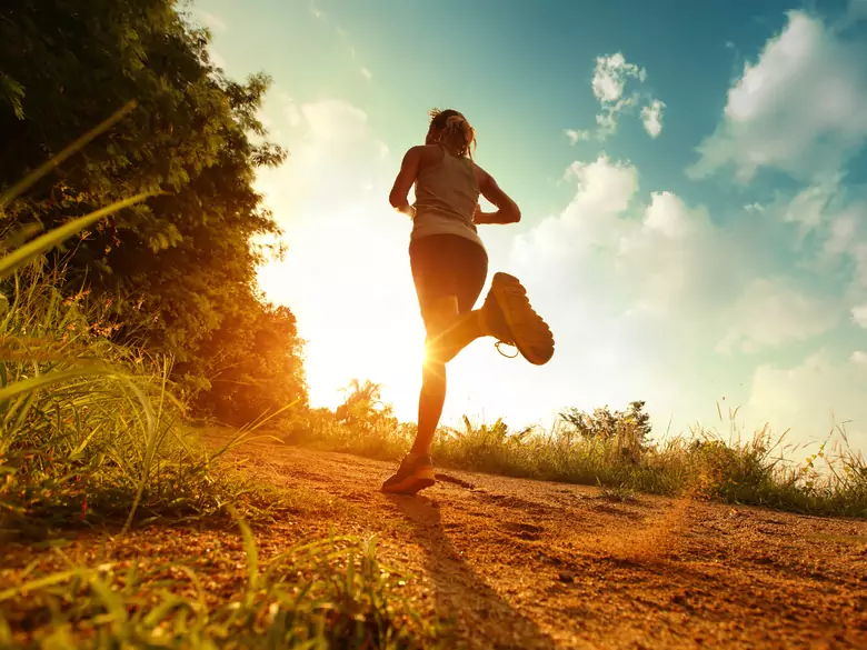 Physical activity during hot weather
