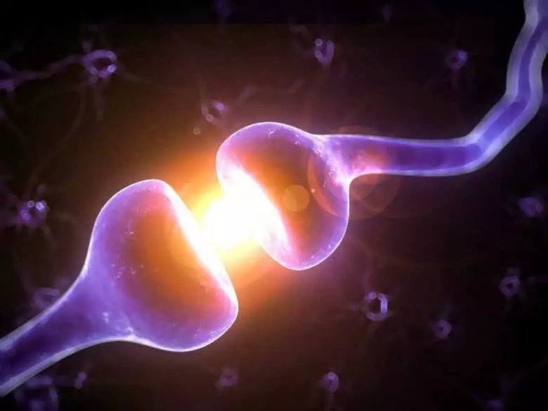 Nerve block: what is worth knowing about it?