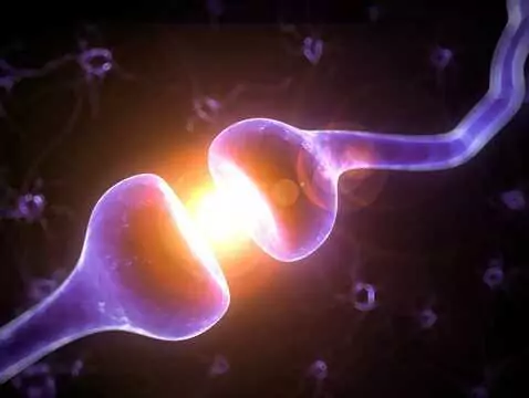 Nerve block: what is worth knowing about it?