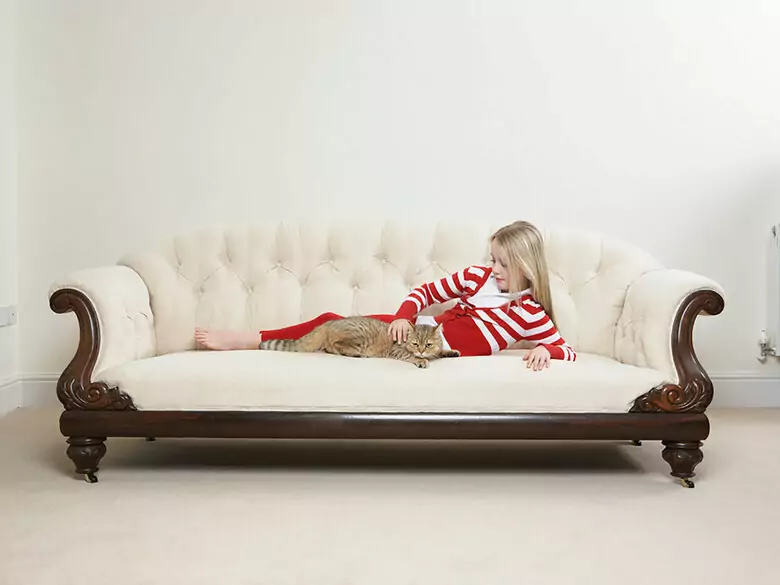 Christmas cleaning through the eyes of an allergist