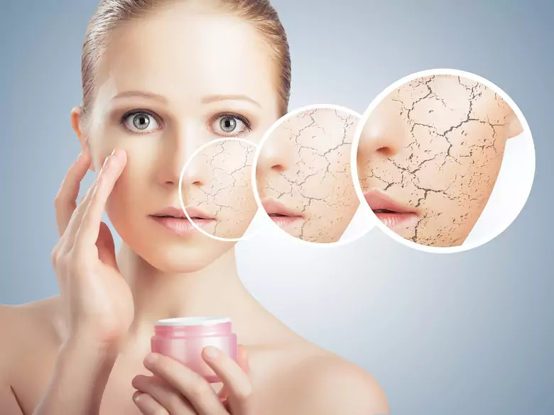 How is the human skin structured?