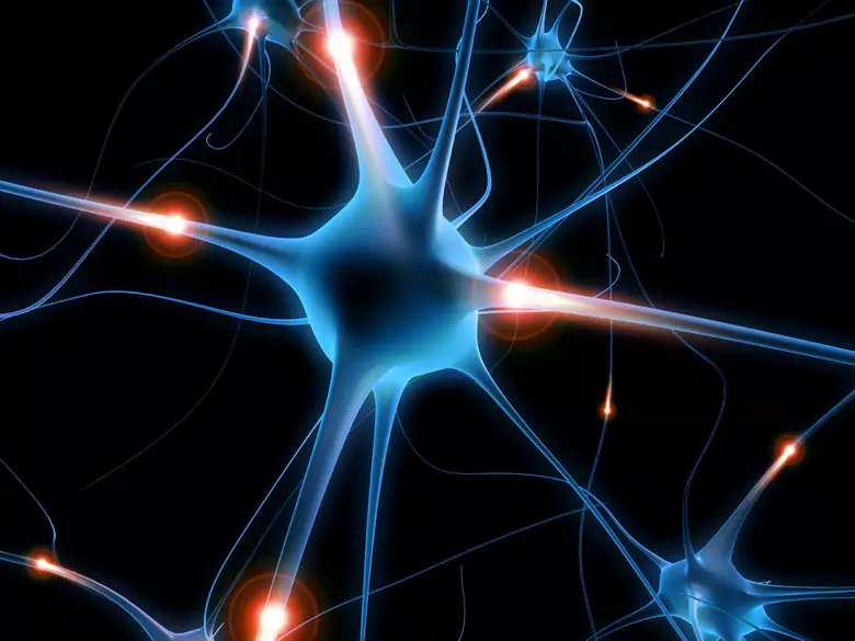 Amyotrophic lateral sclerosis - causes, symptoms, diagnosis, treatment