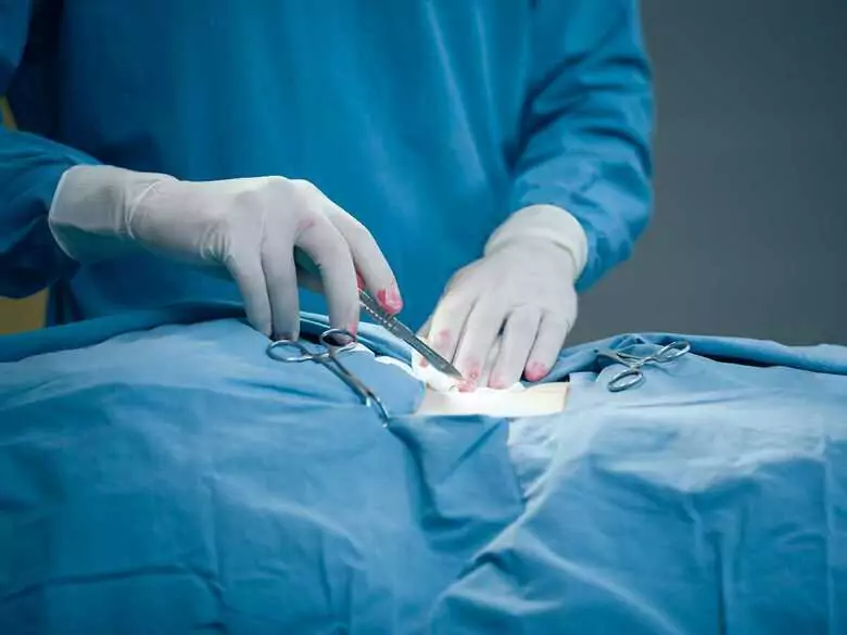 Scientists have created a machine that keeps the liver out of the body for a week