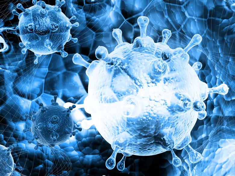 Bacterial biofilm in ENT
