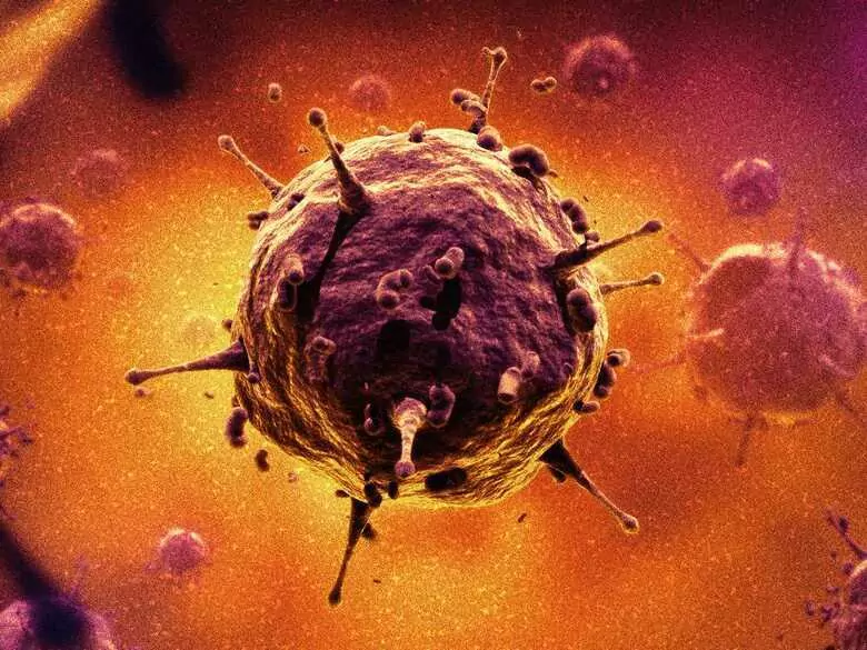 Human coronaviruses - a historical overview, part 2