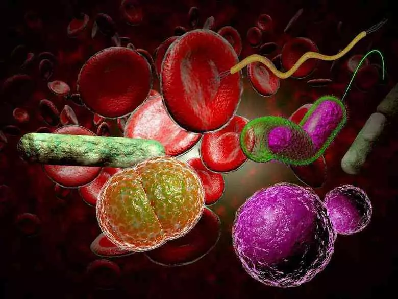 Can sex hormones differentiate the course of COVID-19?