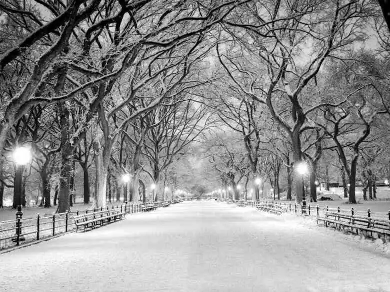 Take care of your psyche in winter