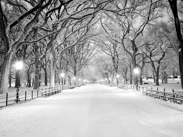 Take care of your psyche in winter