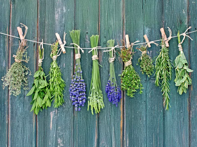 What is herbal medicine and is it safe?