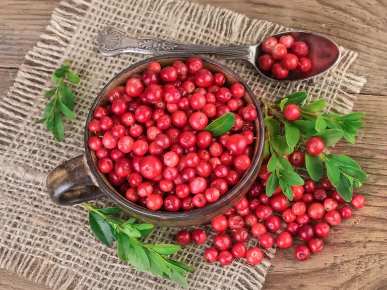 What is a healthy diet for people with kidney disease?